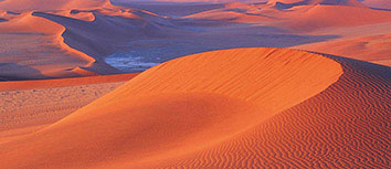 罗马主力球员伤愈复出，球队实力大增