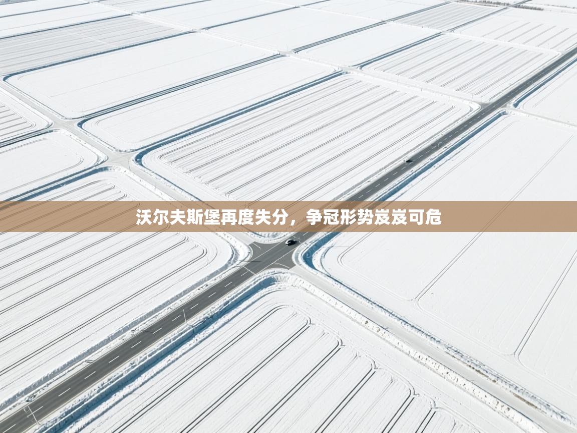 沃尔夫斯堡再度失分,争冠形势岌岌可危 第2张